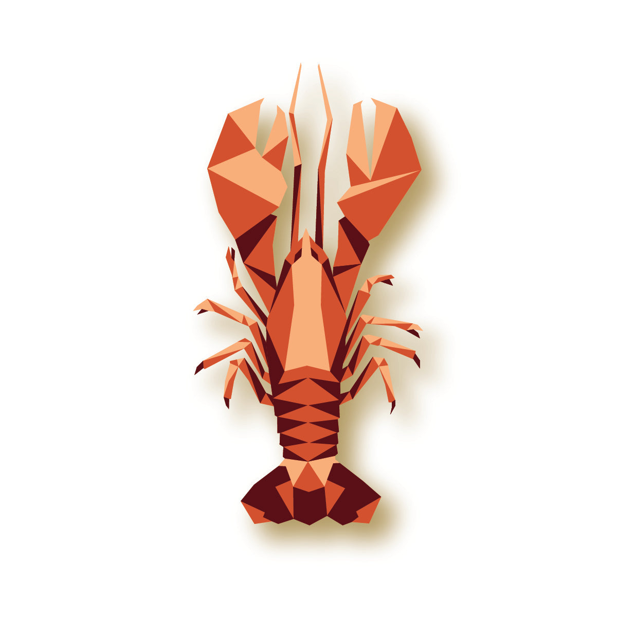 Maine Lobster