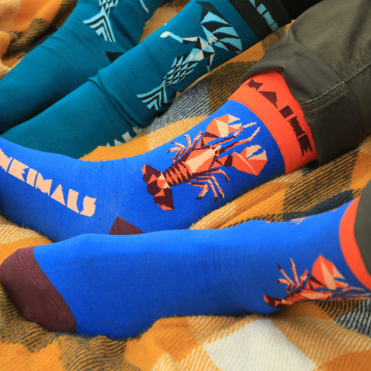 Maine Lobster Socks